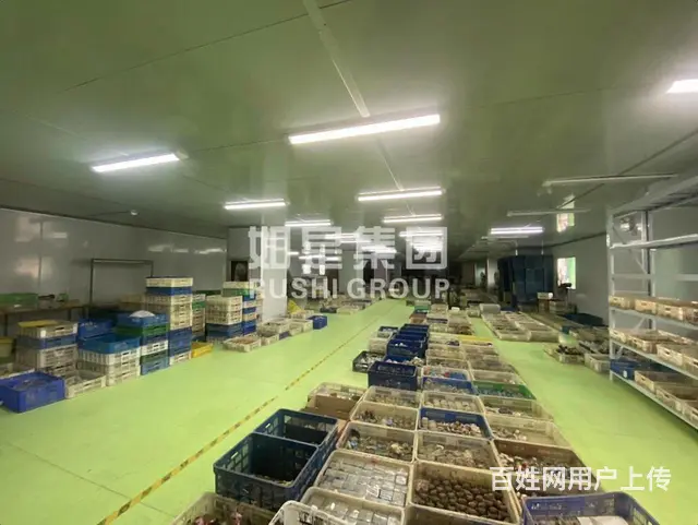 厂房专业户，随便挑，每层1000平价格美丽可进货柜 可加工 - 图片 2