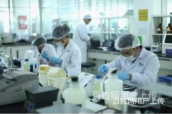 石家庄高薪急招挪威包装工月薪上万 - 图片 4