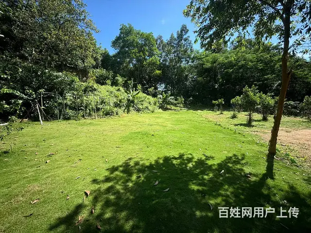 （51旺铺推荐）吉阳区大茅3000平露营基地转让 - 图片 7