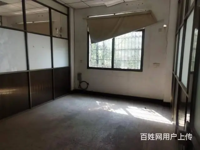 （老板房源）岳麓区桃花岭村优质整栋商铺招租 - 图片 3