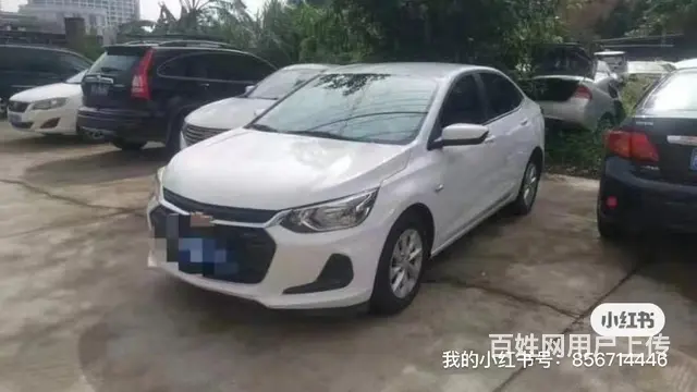 租车就找天下行 - 图片