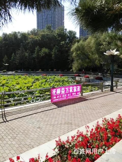 免费 相亲联谊会 - 图片 2