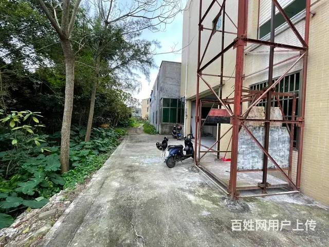（51旺铺推荐）仓库招租独栋美跃村300平 - 图片 7