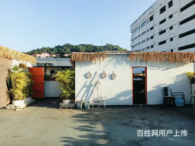 （51旺铺推荐）金鸡岭260平临街铺面出租 - 图片 5