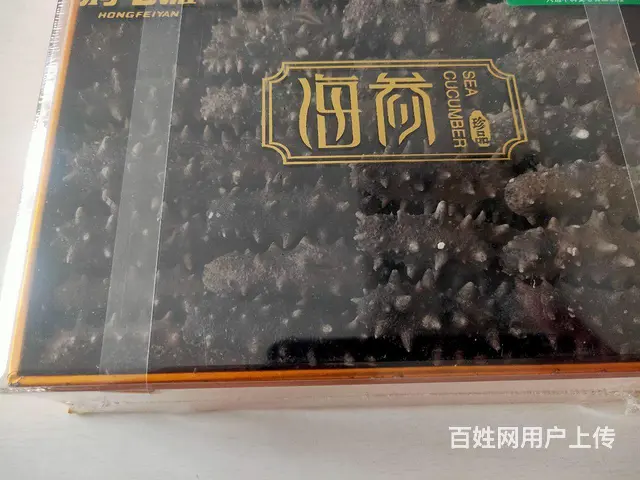 海参 - 图片 2