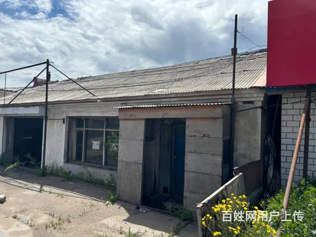 新华农场大道边 - 图片 2