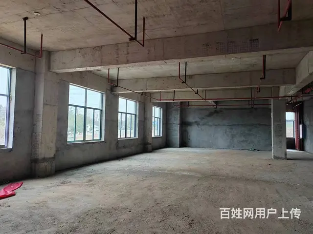 （老板本人）长沙县路口厂房仓库房东低价出租（可分租）6031 - 图片 7