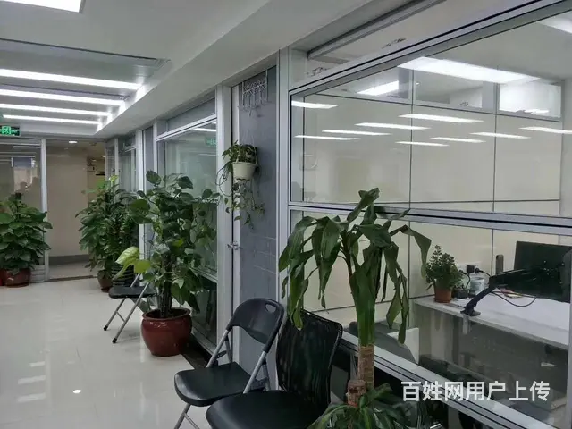 写字楼装修 扇灰刷漆 卡位插座 隔墙吊顶 铺地毯 - 图片 1