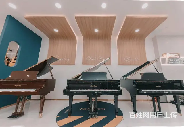 买珠江钢琴是选恺撒堡好还是里特米勒好？广州买珠江 - 图片 2