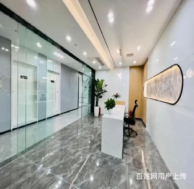洛龙区核心地段写字楼！正大国际西区210平豪华装修带家具 - 图片 4