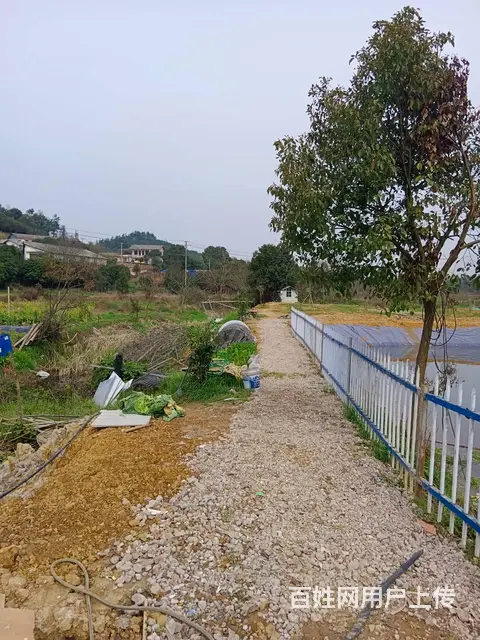 （老板本人） 开福区捞刀河白霞村独门独院农家乐出租 6014 - 图片 1