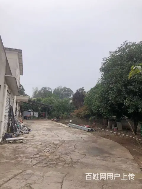 （房东直租）黄花开元路旁500平厂房，仓库优价出租 - 图片 3