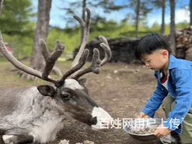 呼伦贝尔满洲里呼伦贝尔包车师傅满洲里旅游包车师傅价格海拉尔包 - 图片 3
