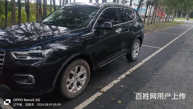 哈弗H6 2019款 1.5GDIT 双离合 冠军版红标 - 图片 3