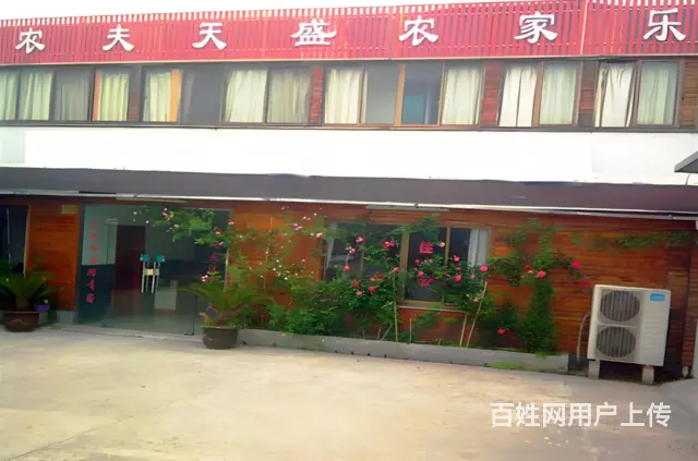 苏州西山岛 有特色农家乐包吃包住橘子采摘游 - 图片 4