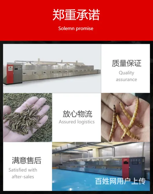 广州豆制品微波加工设备 微波熟化烘培机器定制 - 图片 5