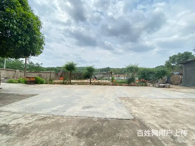 (房东直租)秋江线旁30亩鱼塘，带15亩房屋场地出租，可分租 - 图片 6