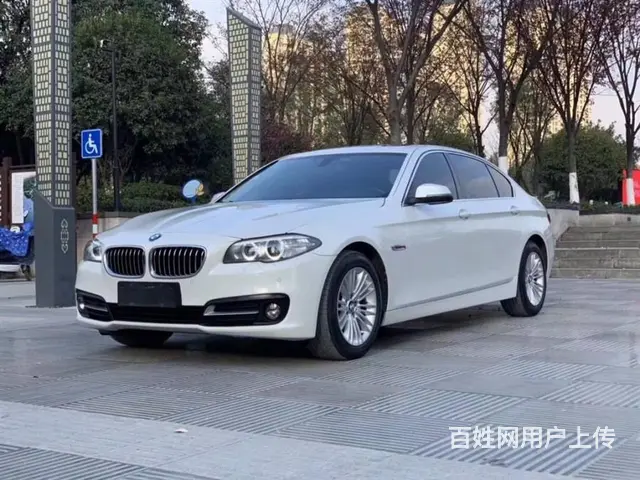宝马5系 2014款 525Li 2.0T 手自一体 领先型 - 图片 4