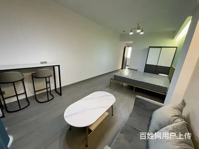 城东精装修1室48.00平空房出租 - 图片 5