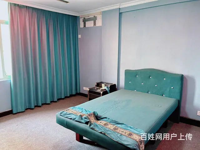 （老板本人）（好消息）南托岭临街旺铺房东优价出租  5658 - 图片 9