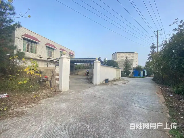 (房东直租)干杉黄金大道旁450平厂房出租，带小冷库 - 图片 2
