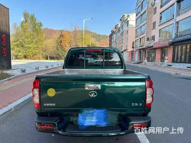 其他 皮卡 - 图片 2
