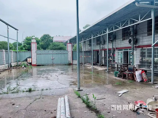 （老板本人）江背镇独门独院钢架厂房低价出租 - 图片 8