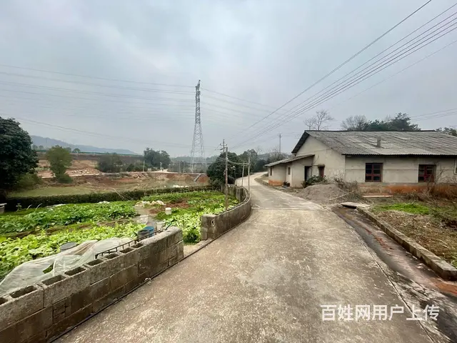 （老板本人）岳麓区大王山互通旁厂房/仓库优价出租  6039 - 图片 3
