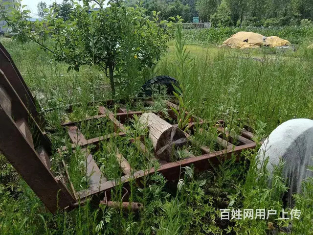拉水稻收割机的拖板 - 图片 3