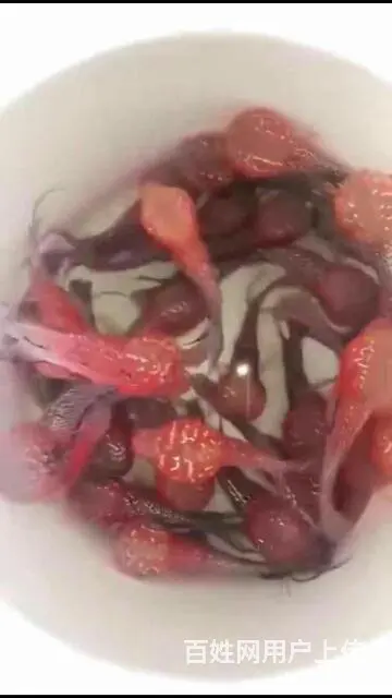 林芝哪里有卖罗汉鱼，林芝卖罗汉鱼地址 - 图片 1