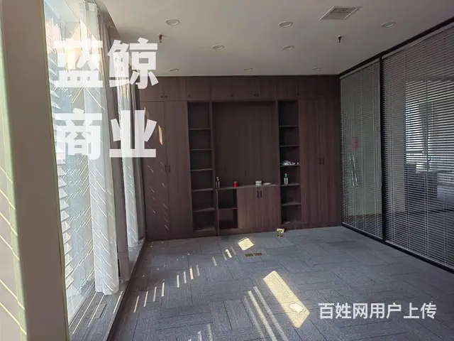 绿地商务城蓝海office纯写字楼，楼层好，边户采光，多隔间 - 图片 3