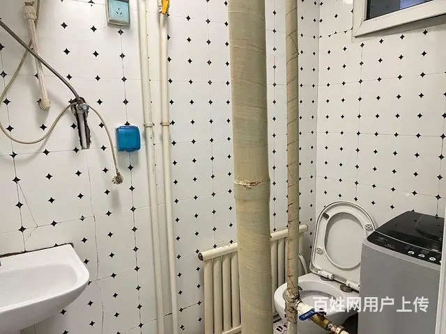 北市场，八一公园西塔附近，南京九小学后身 - 图片 6