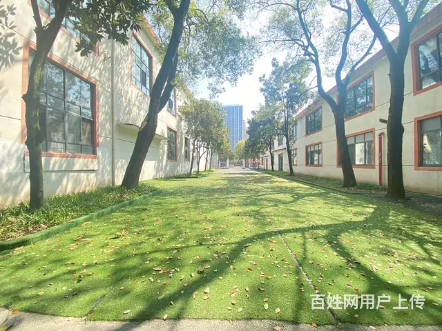 （房东直租）新开铺，南郊公园旁占地7亩厂房，房屋出租，可分租 - 图片 11