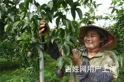 出国劳务新西兰建筑工司机农场工厂普工保底月薪3万 - 图片 3
