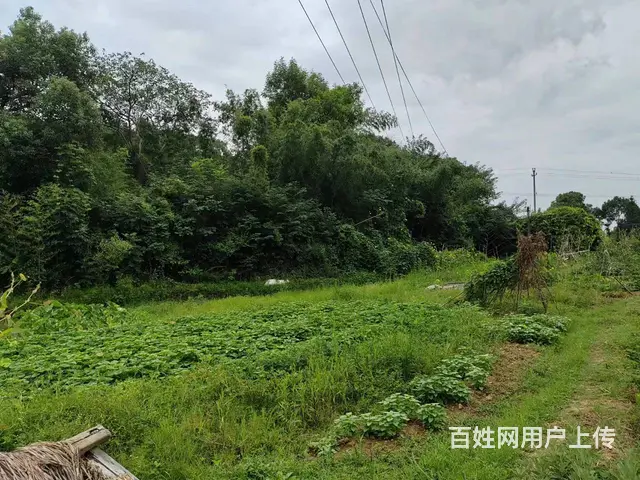 （老板本人）开福区中青路附近整栋房屋+场地低价出租（可分租） - 图片 5