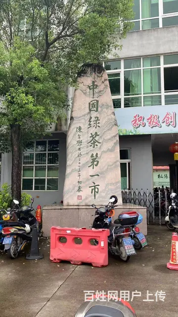 丽水松阳招采茶工，中国茶叶之乡，浙南茶叶市场欢迎你 - 图片 1