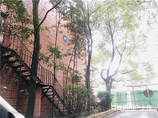 （同城搜铺网）西外罗浮阳光150平旺铺转让出租(可分租) - 图片 9