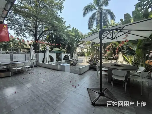 （51旺铺推荐）大东海290平铺面出租 - 图片 4