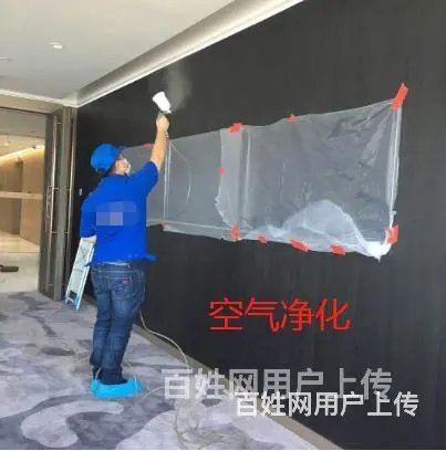 宿州萧县家政公司，除虫除蚂蚁，保洁阿姨，十大保洁公司哪家好 - 图片 4
