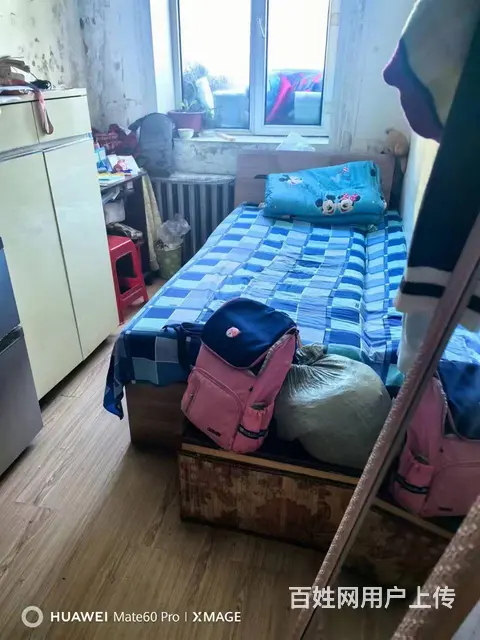 十中十小学区 2 楼，53 平方 - 图片 4
