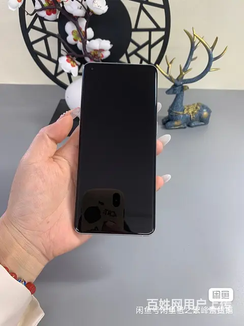 【搞定了！】OPPO fandx3 摄影师限量版 - 图片 5