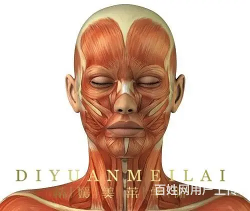 珠海十佳医美微整形培训注射针剂水光针培训哪家专业 - 图片