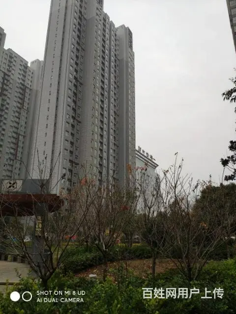 偃师新寨社区93平2居低价出售 - 图片 2