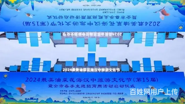 重庆潼南文化节庆典舞台搭建租赁搭建 - 图片 4