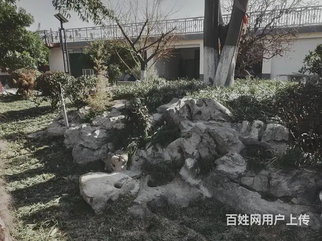 徐州锦鲤鱼池净化系统，假山太湖石假山设计安装制做 - 图片 1