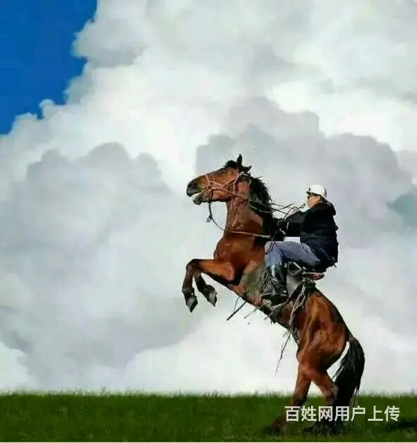 呼伦贝尔旅游包车师傅推荐常师傅靠谱 - 图片 4