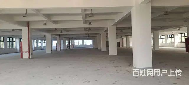 董浜工业园全新独栋独院厂房8400平，可分租，配套设施齐全 - 图片 8