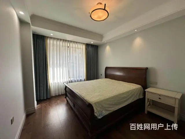 外滩叠拼洋房 1带2层 350米豪装 4室3卫送花园及车位 - 图片 6