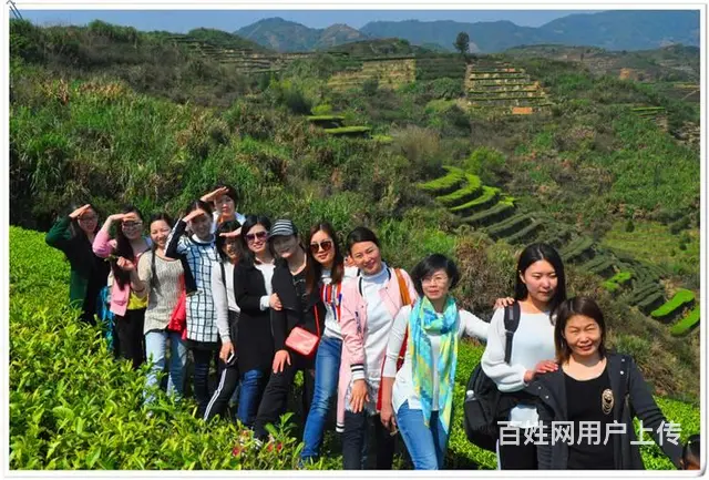 零基础学茶艺可学得 - 图片 2