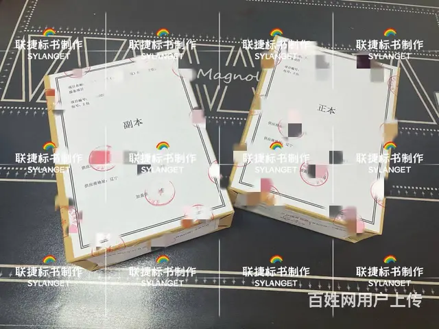 沈阳标书制作，文件精美，内容丰富。 - 图片 2